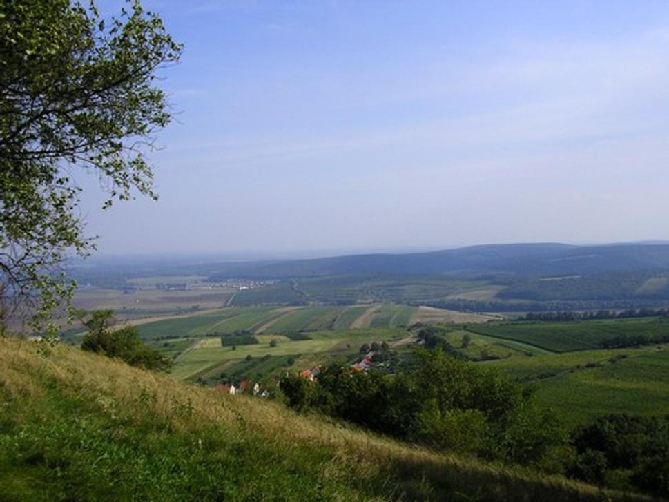 Obrázok blogu