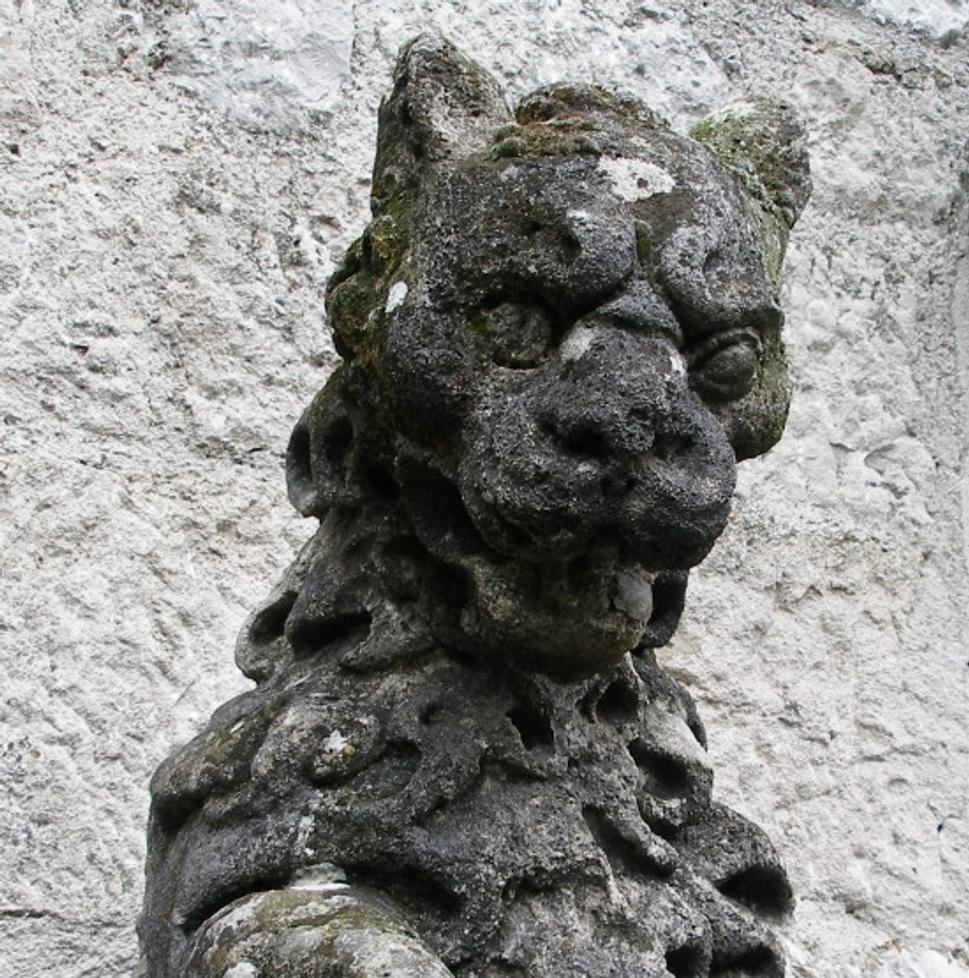Obrázok blogu