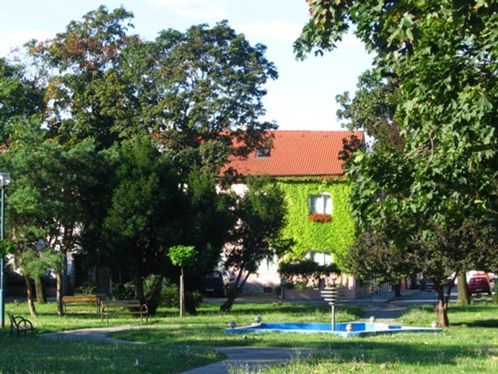 Obrázok blogu