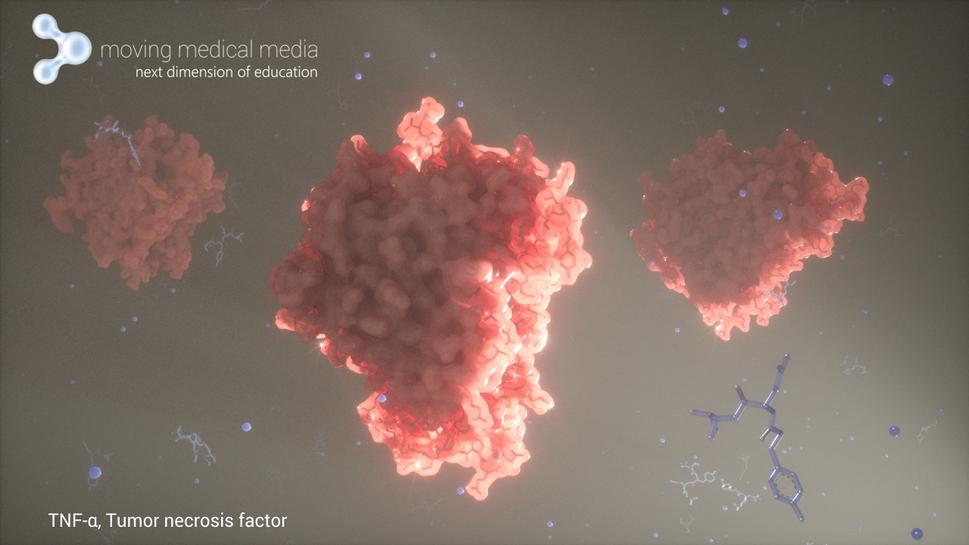 Tumor nekrotizujúci faktor TNF -α