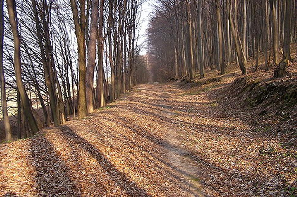 Obrázok blogu