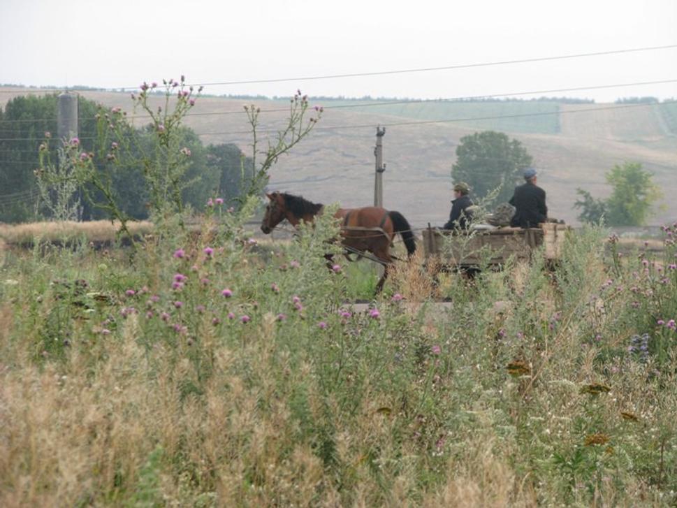 Obrázok blogu