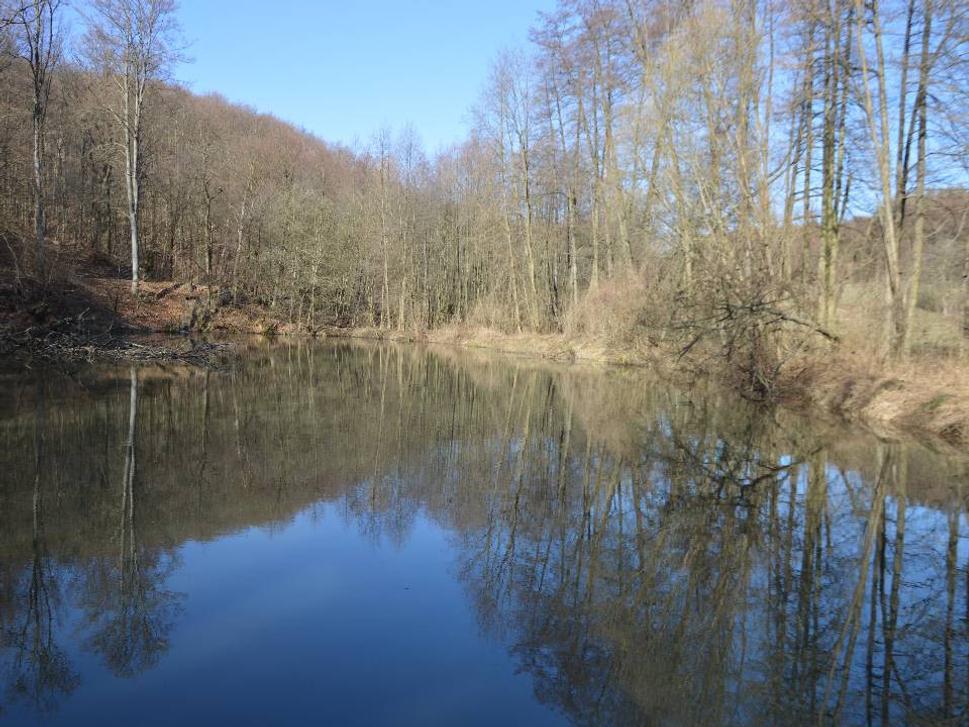 rybník č. 2
