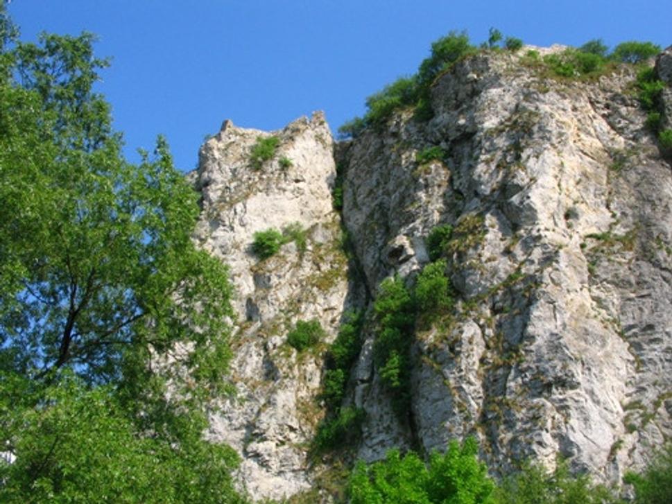 Obrázok blogu