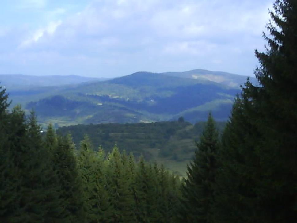 Obrázok blogu