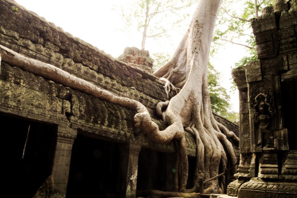 Ta Prohm Chrám