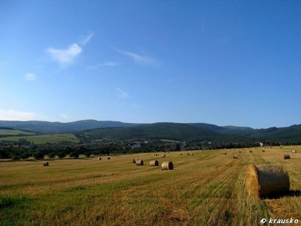 Obrázok blogu