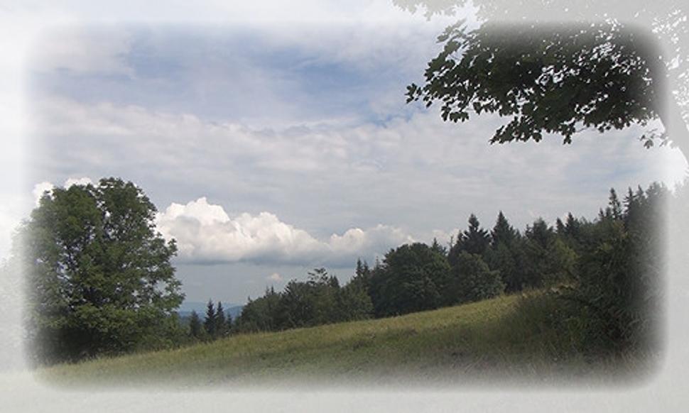 Greguše5