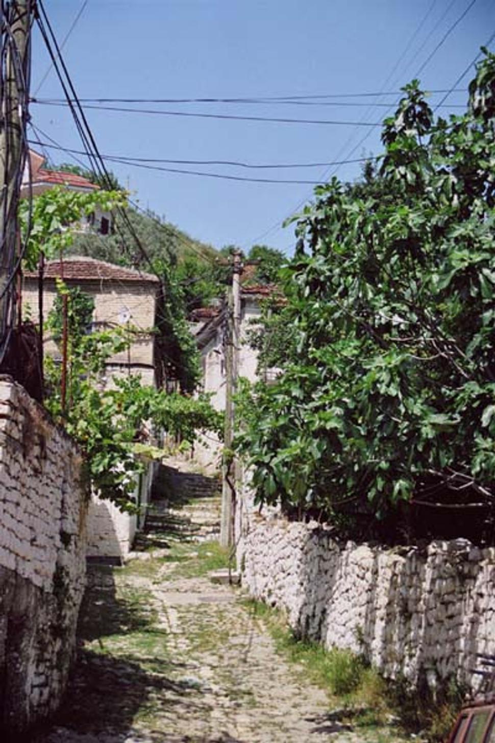 Obrázok blogu