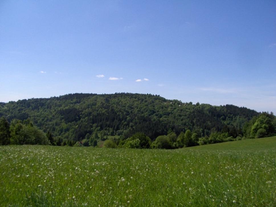 Obrázok blogu