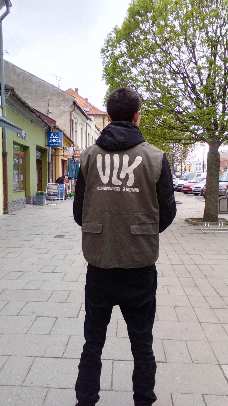 VLK v meste