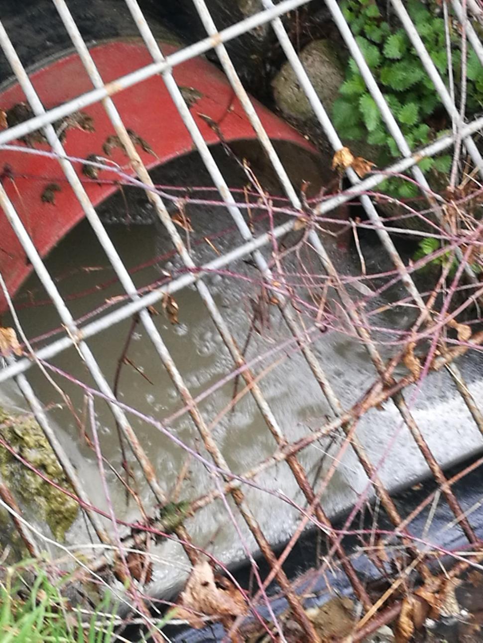Nelegálne vypúšťanie splaškov, Suché Miesto na ČV, dňa 19.03.2017 - foto 2