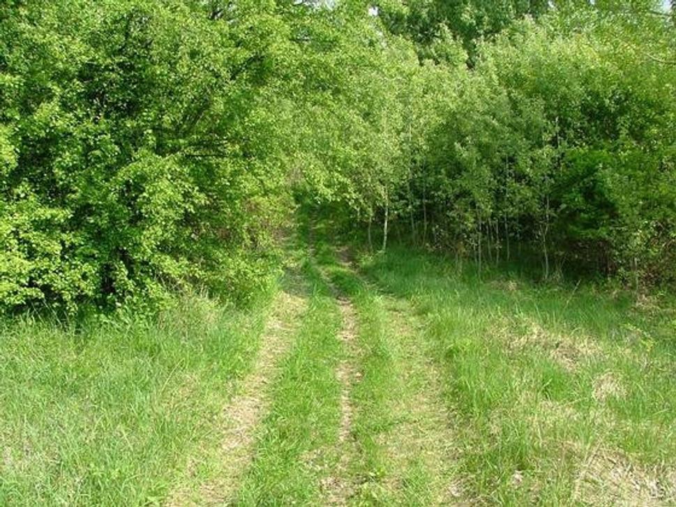 Obrázok blogu