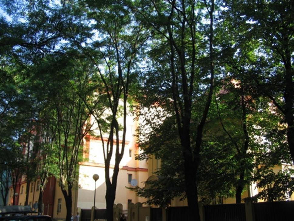 Obrázok blogu