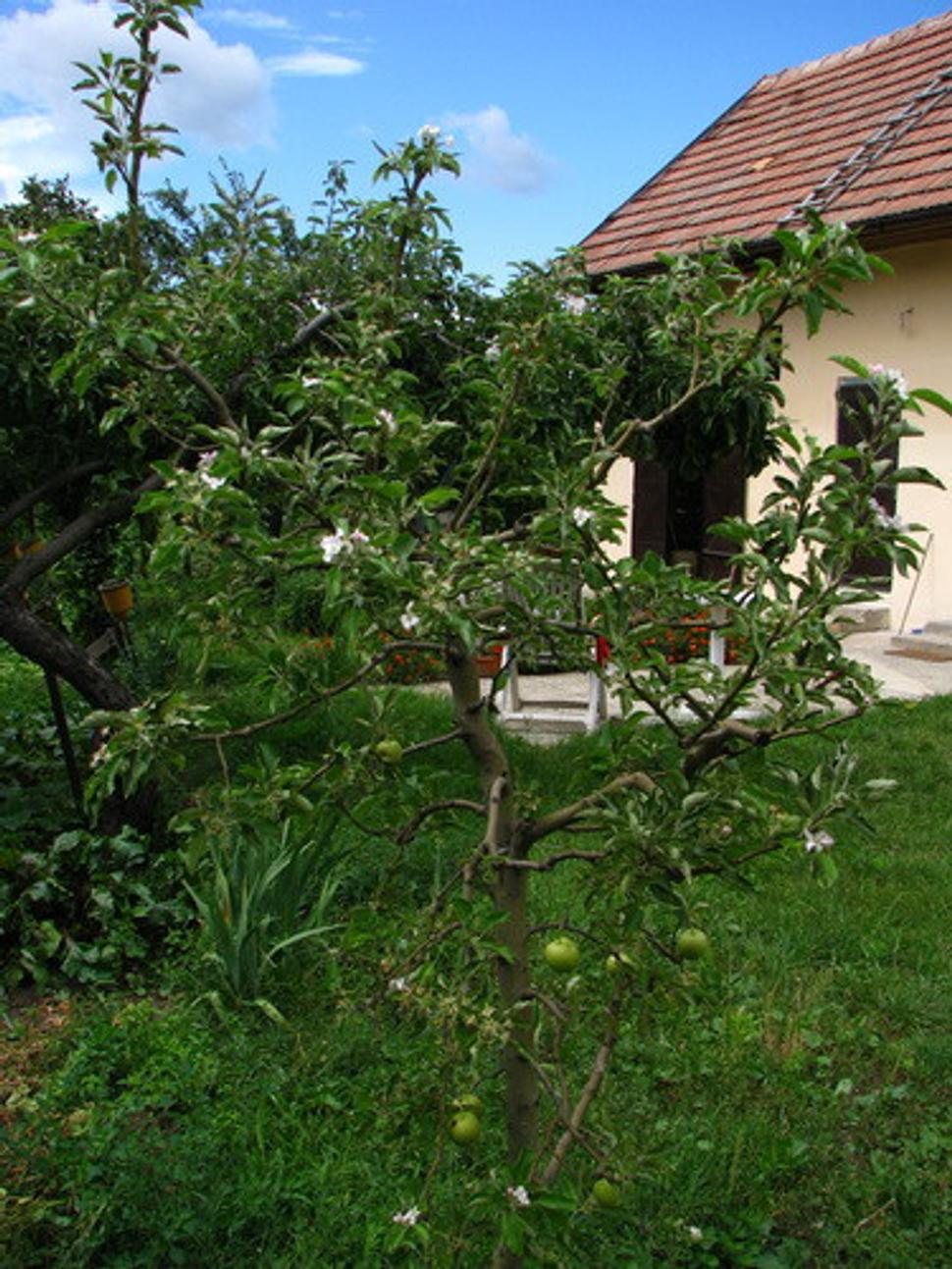 Obrázok blogu