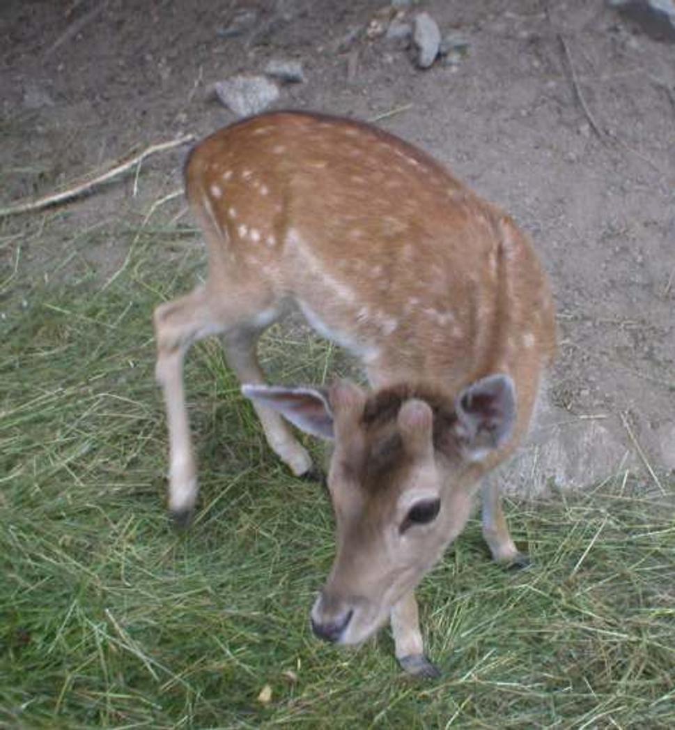 Obrázok blogu