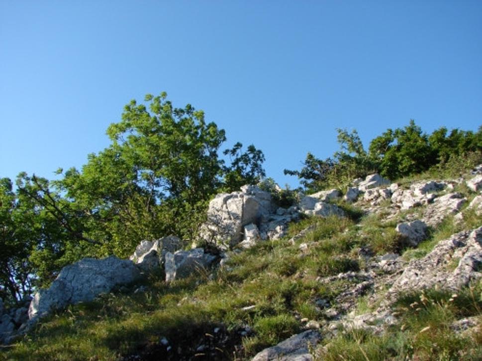Obrázok blogu