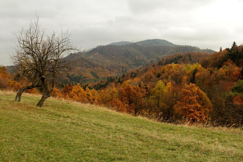 Obrázok blogu