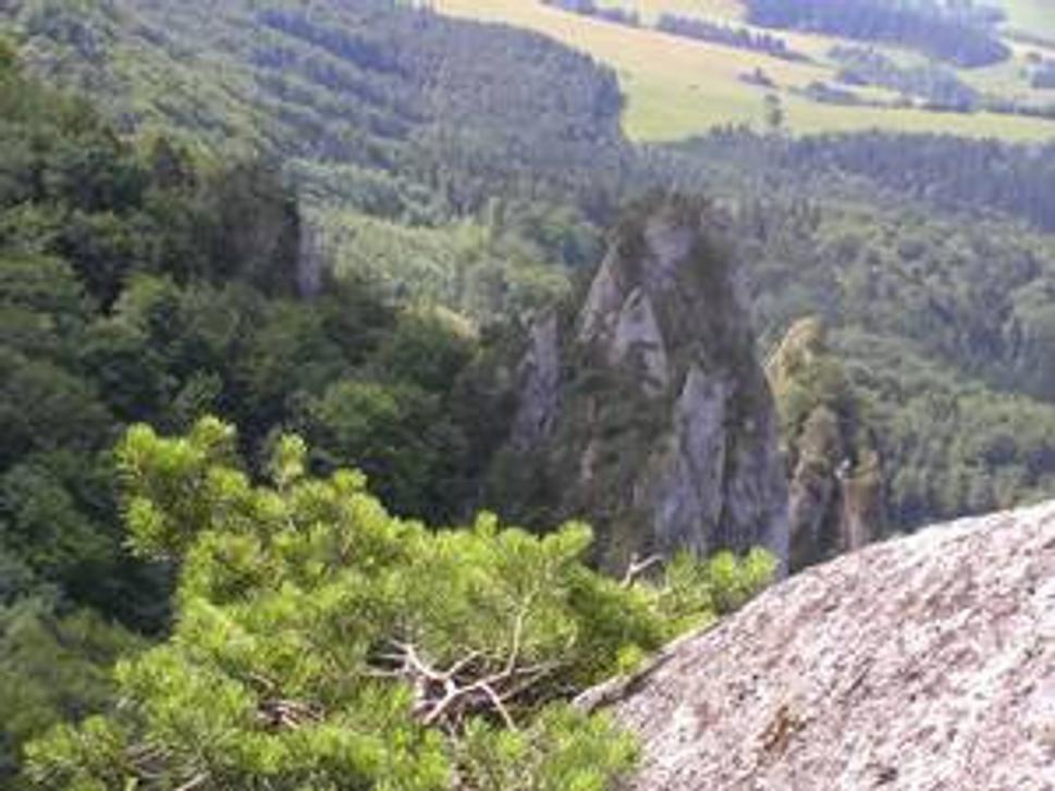 Pohľad zo Súľovských skál do doliny za Súľovom.