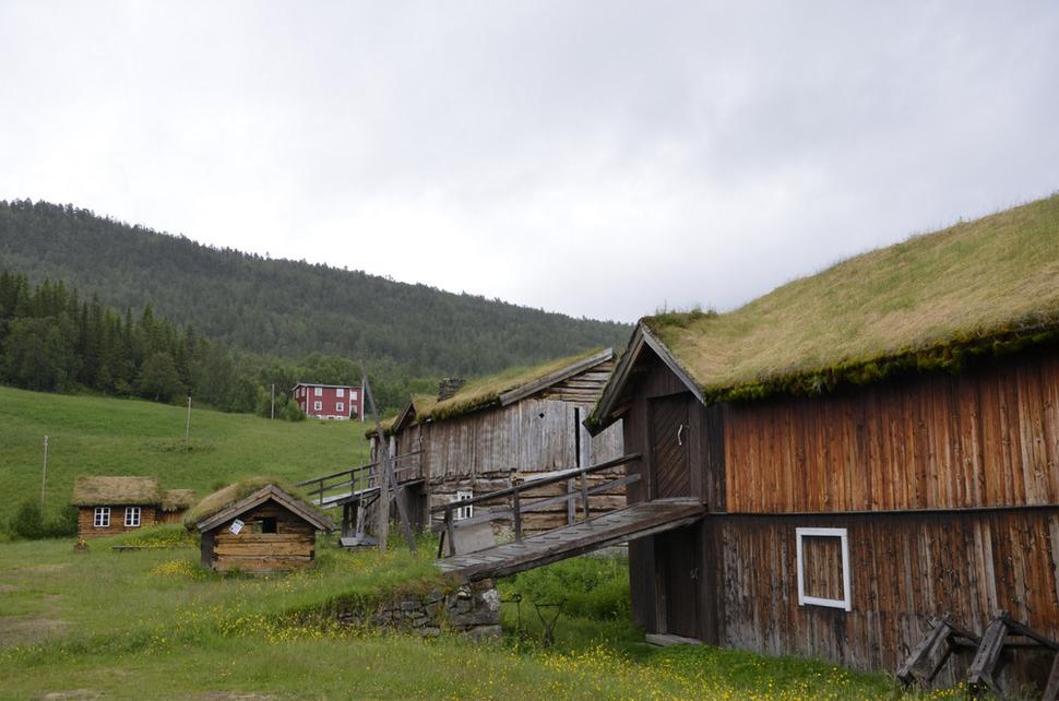 zelené (trávnaté) strechy na domoch; v Škandinávii nič ojedinelé