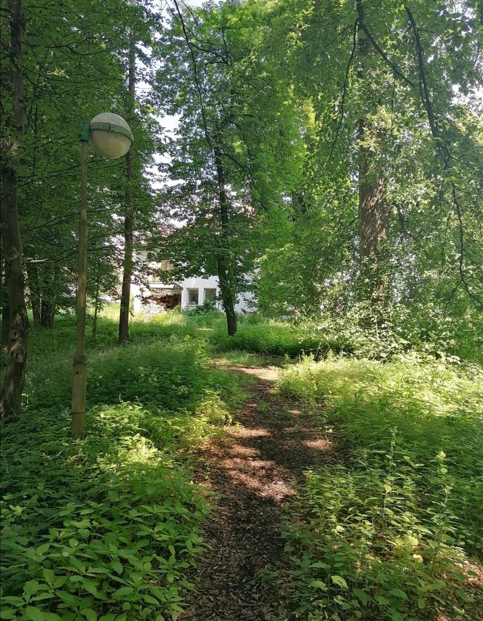 Obrázok blogu