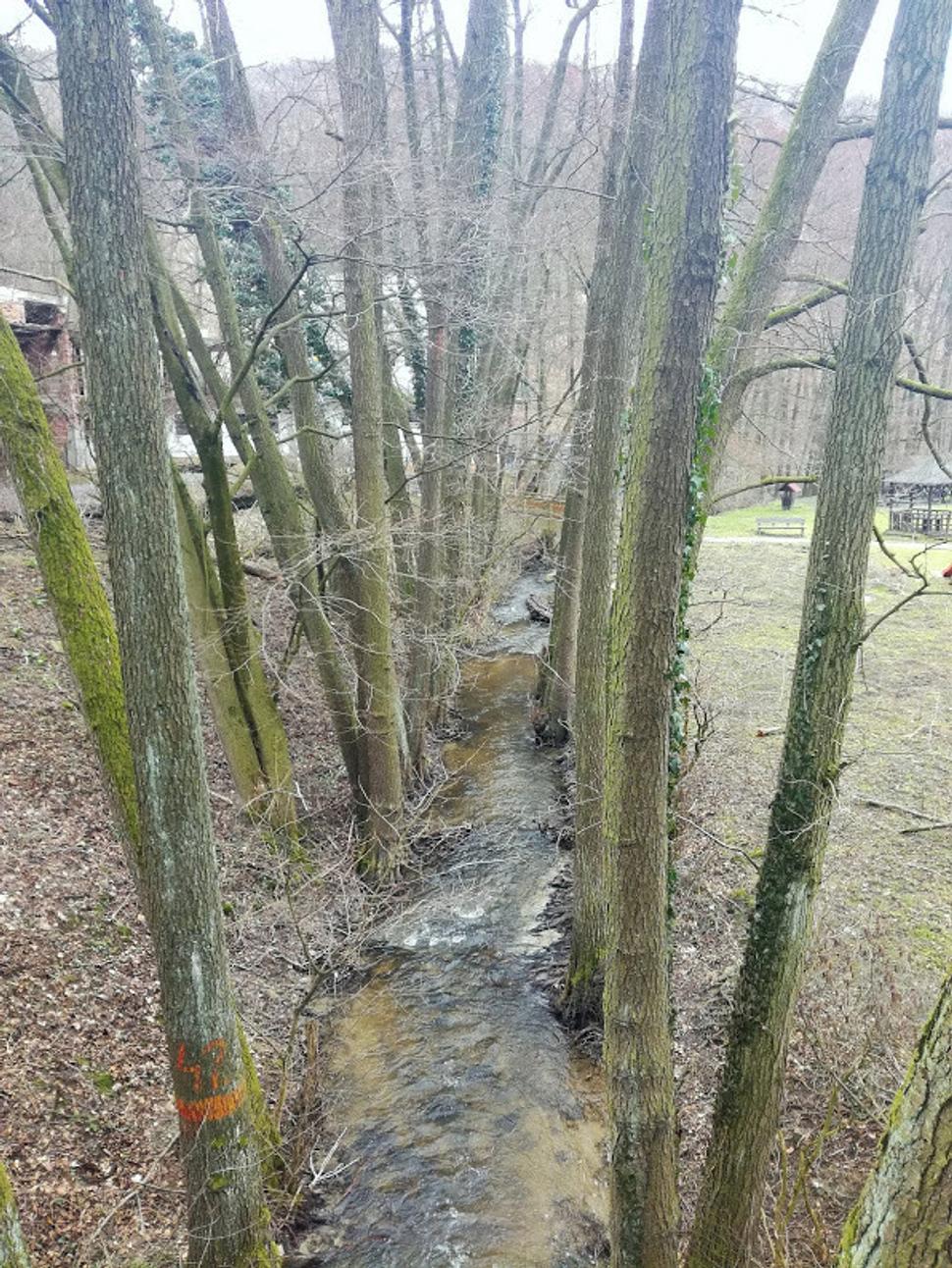 Obrázok blogu
