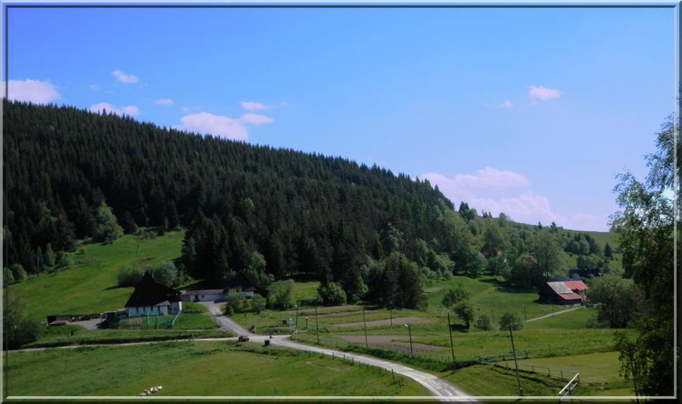 Obrázok blogu