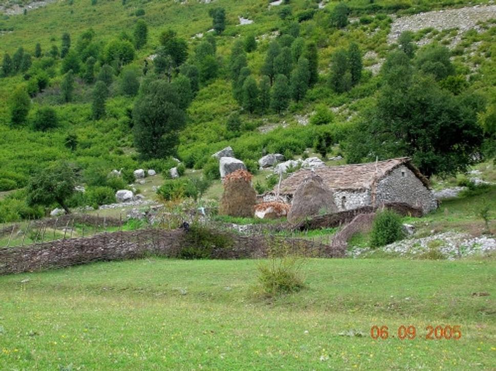 Obrázok blogu
