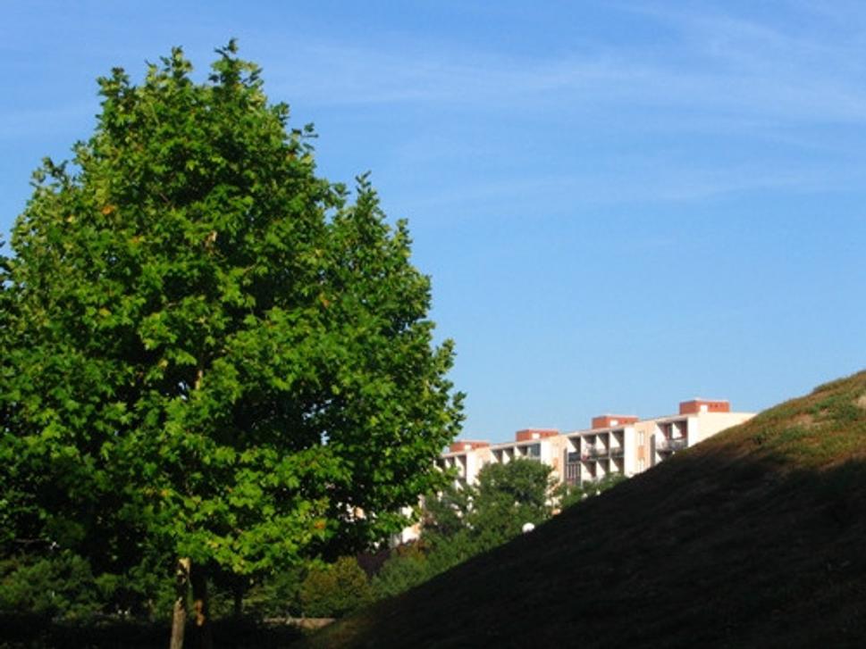 Obrázok blogu