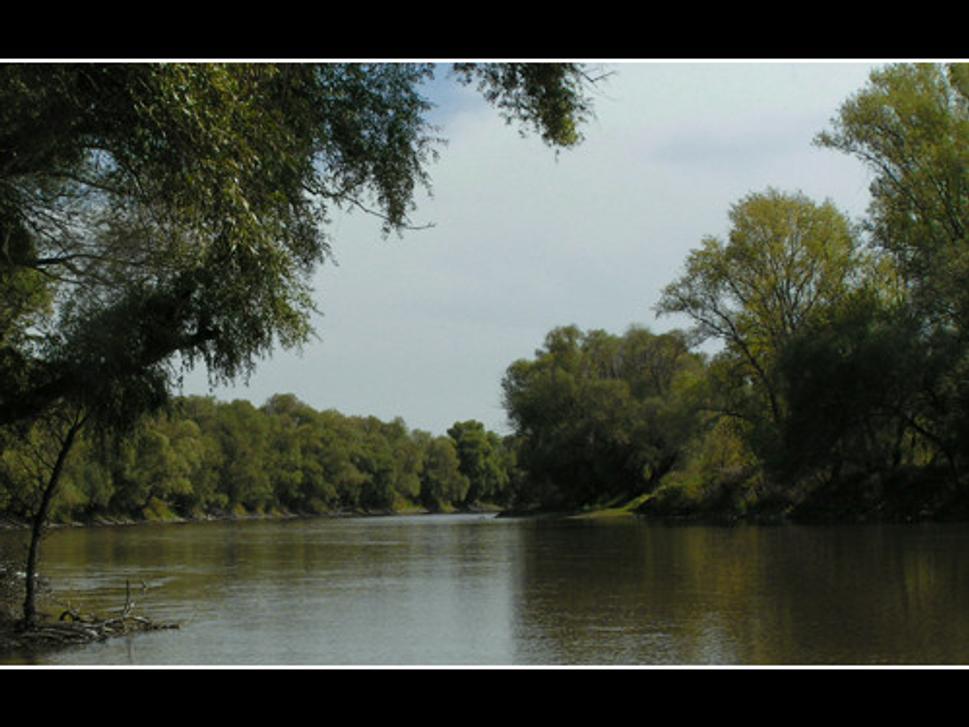 Morava