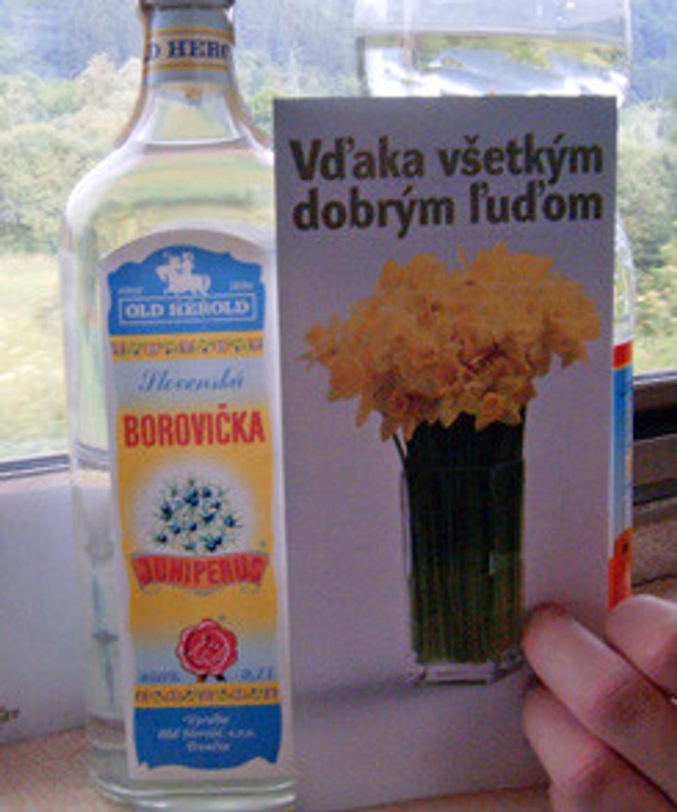 Obrázok blogu