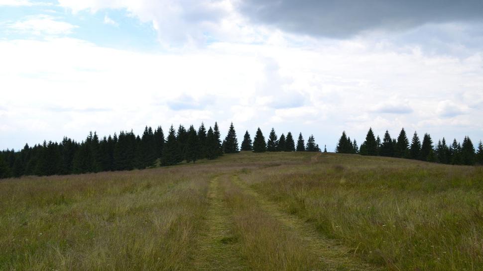 Lúkami smer MInca.
