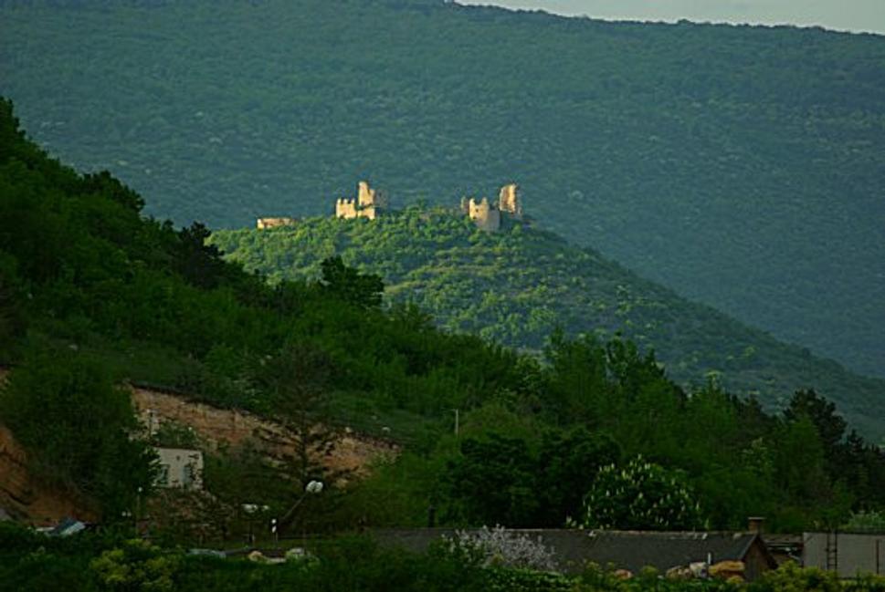 Turnianský hrad