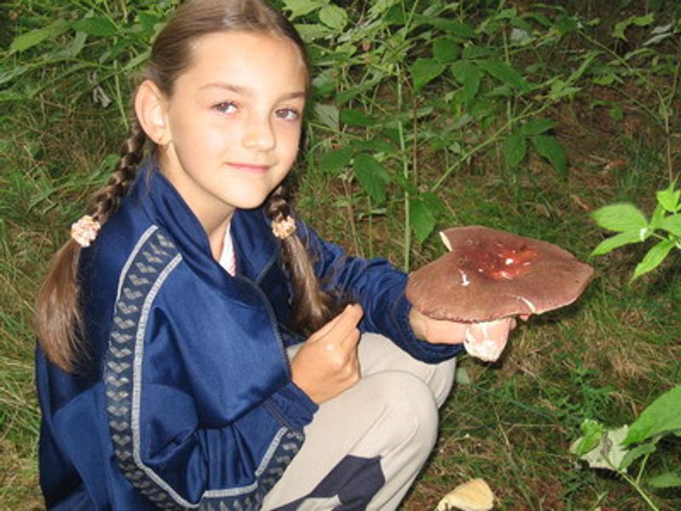 Obrázok blogu