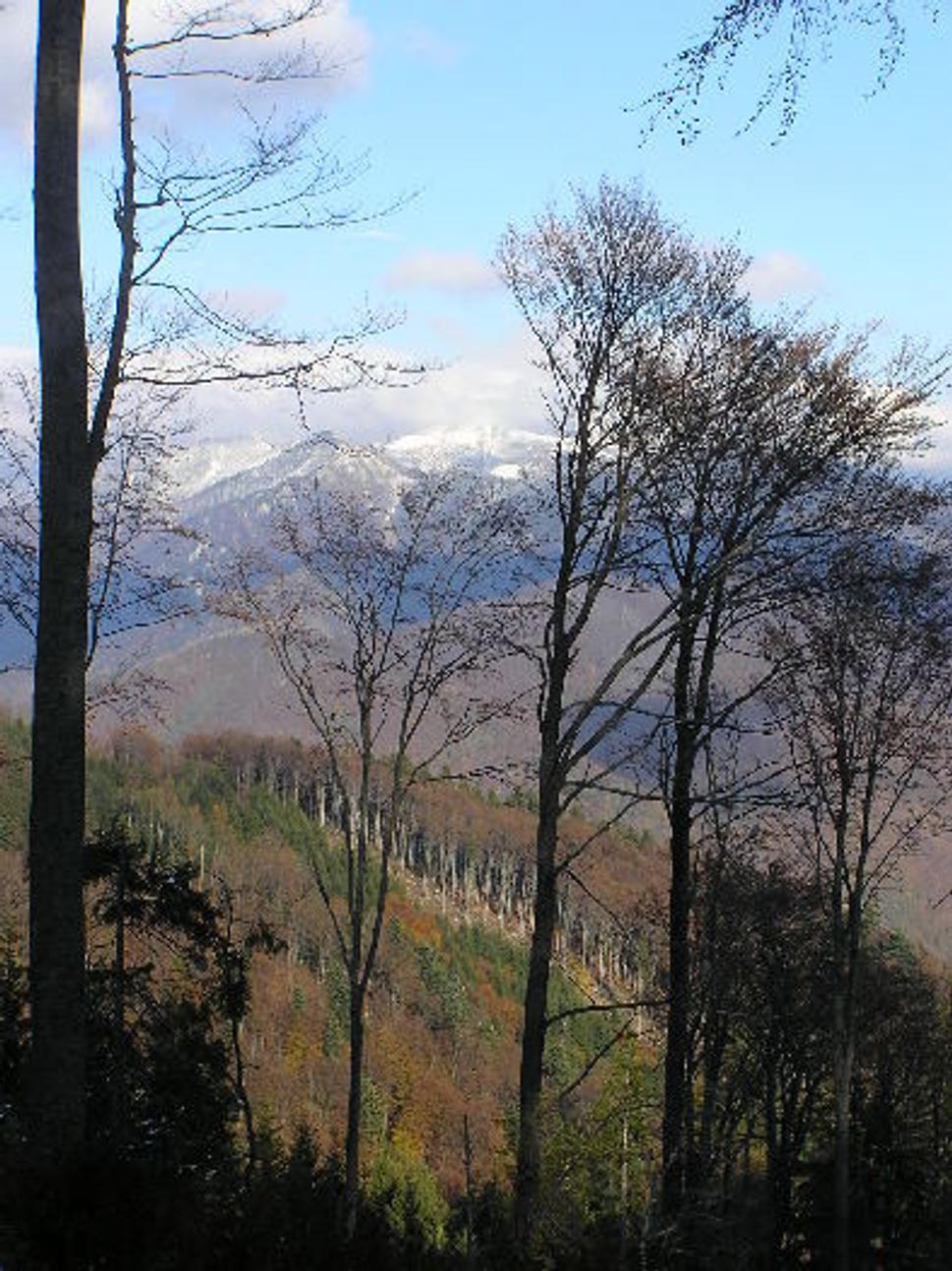 Obrázok blogu