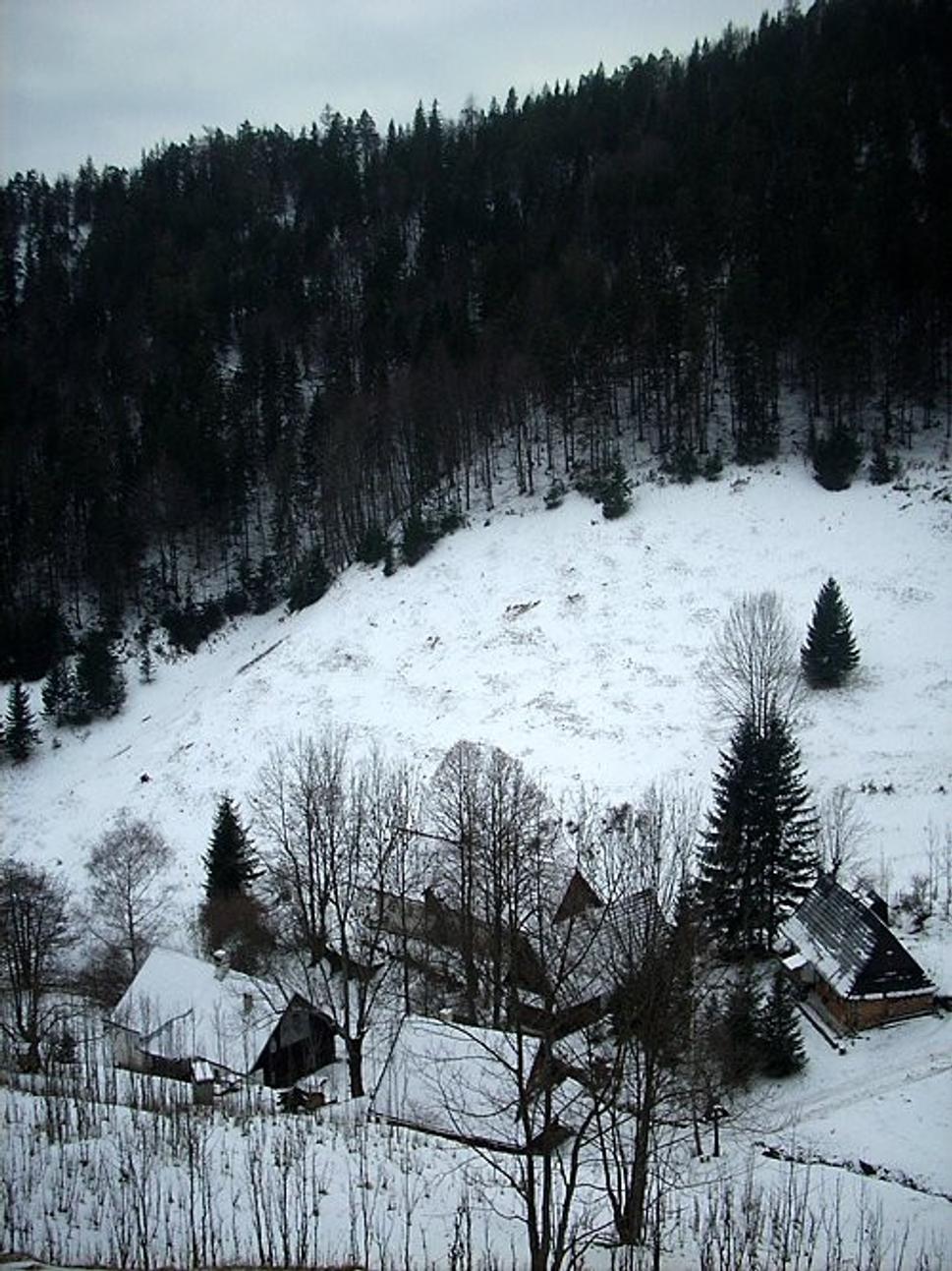 Obrázok blogu