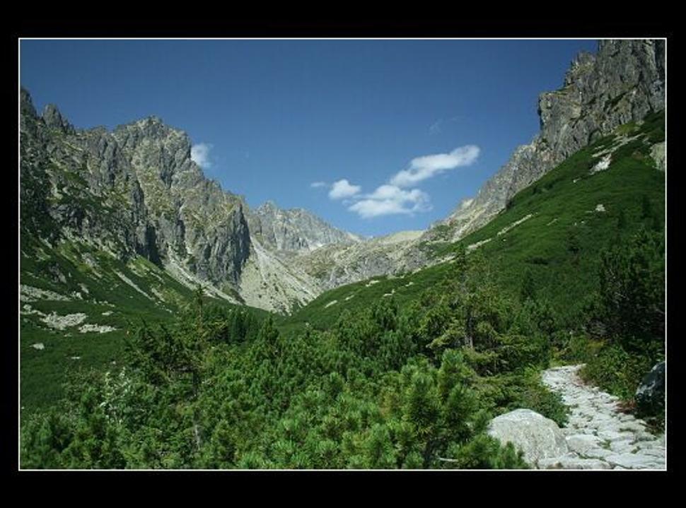 Obrázok blogu