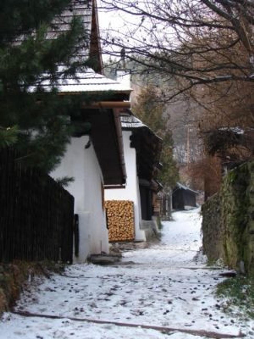 cesta