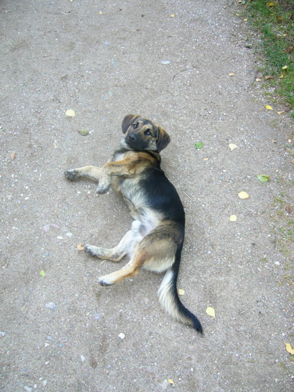 Obrázok blogu