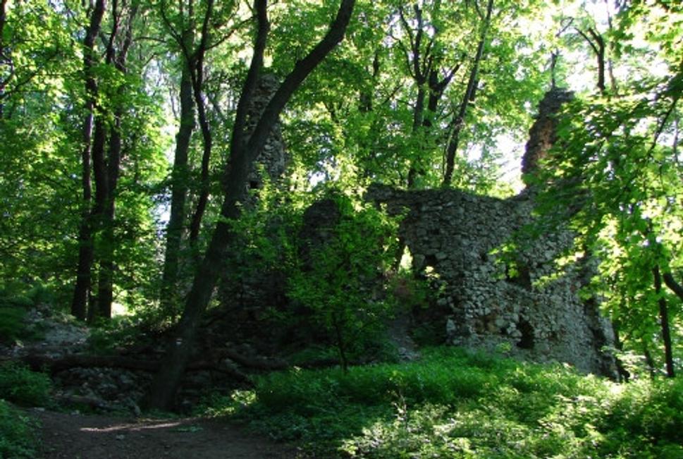 Obrázok blogu