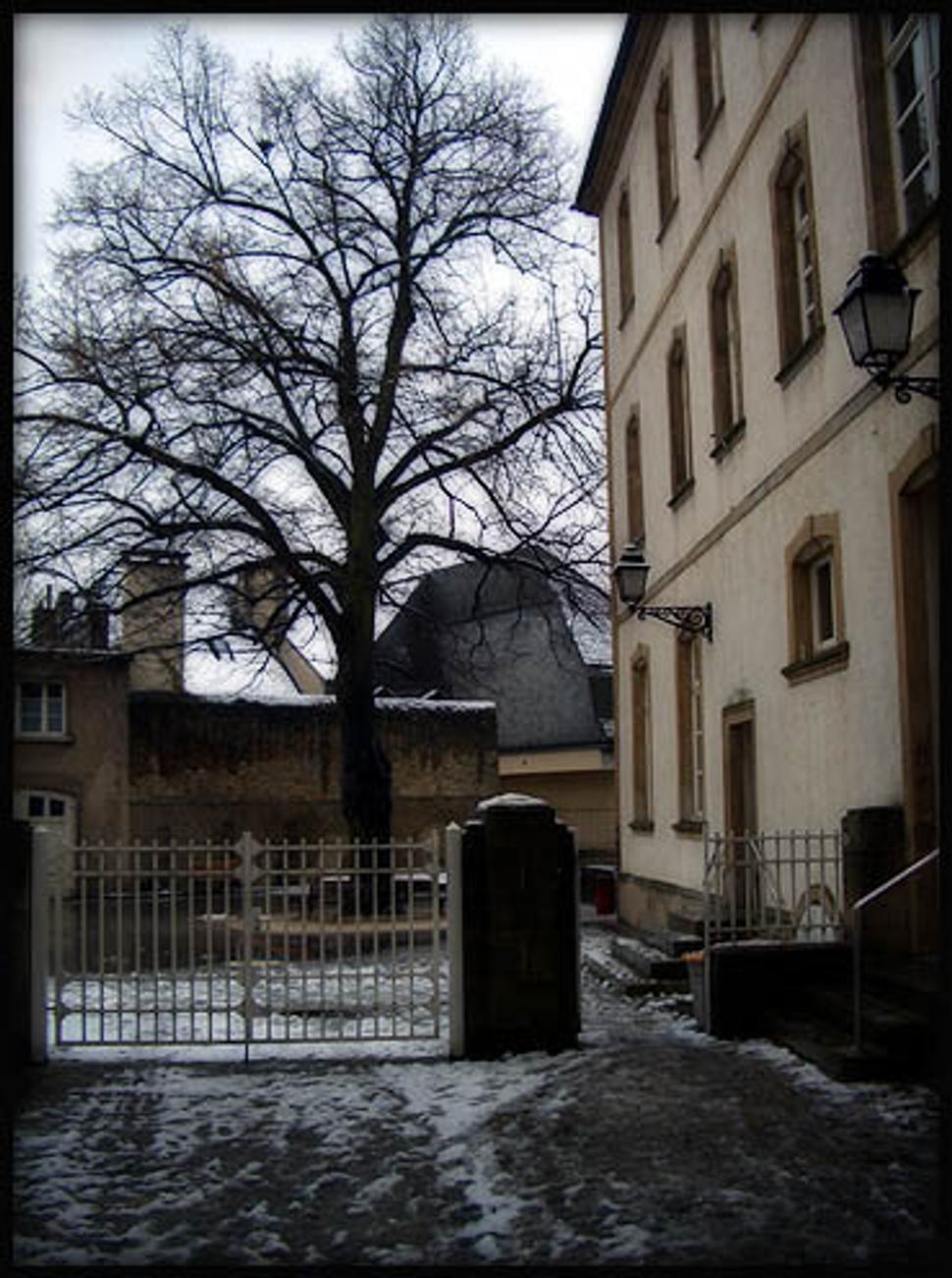 Obrázok blogu