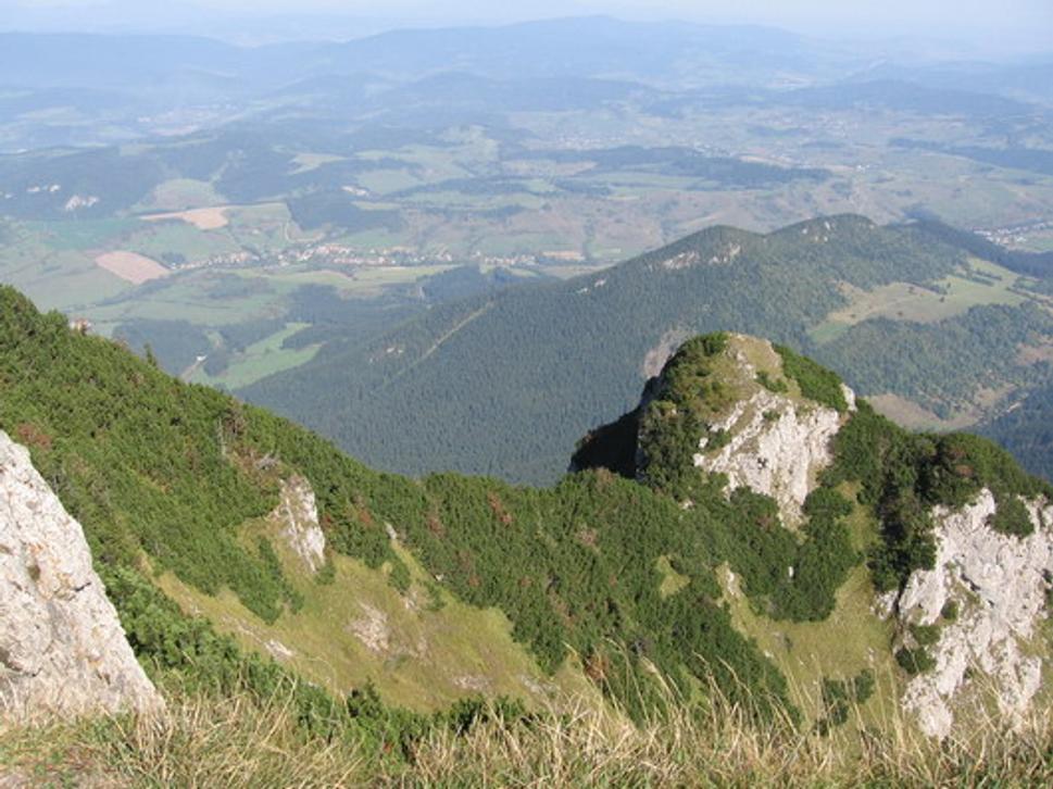 Obrázok blogu