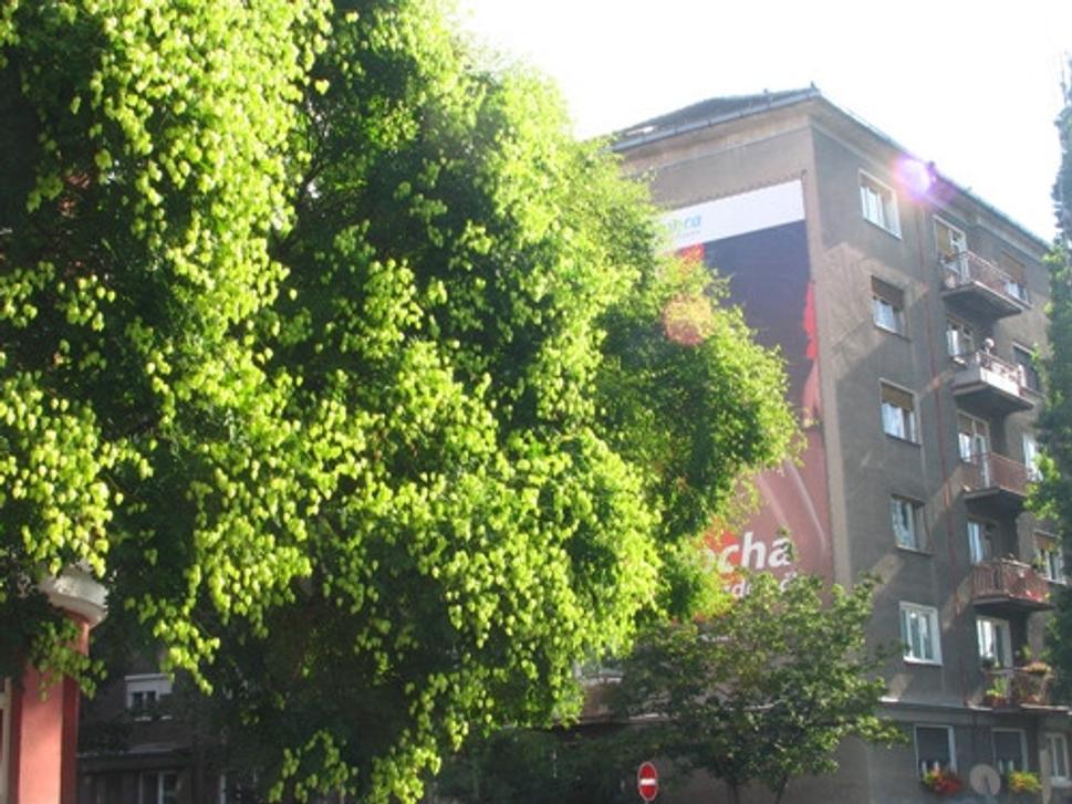 Obrázok blogu