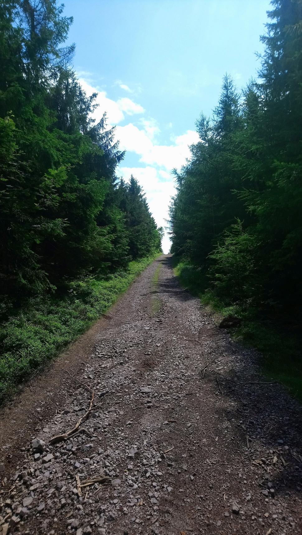Priamočiara hraničná cesta