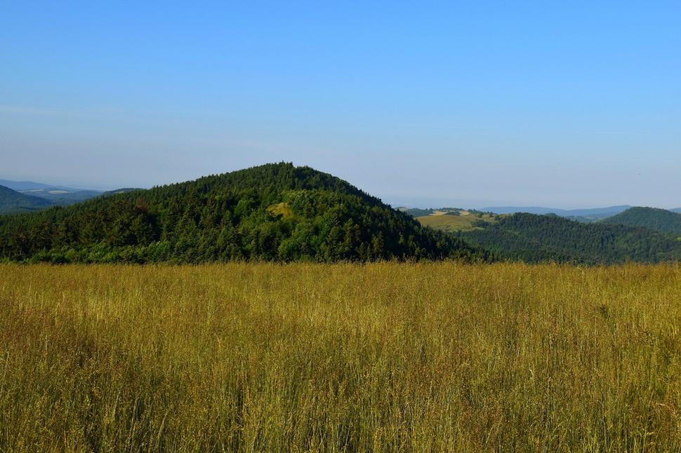 Tanád