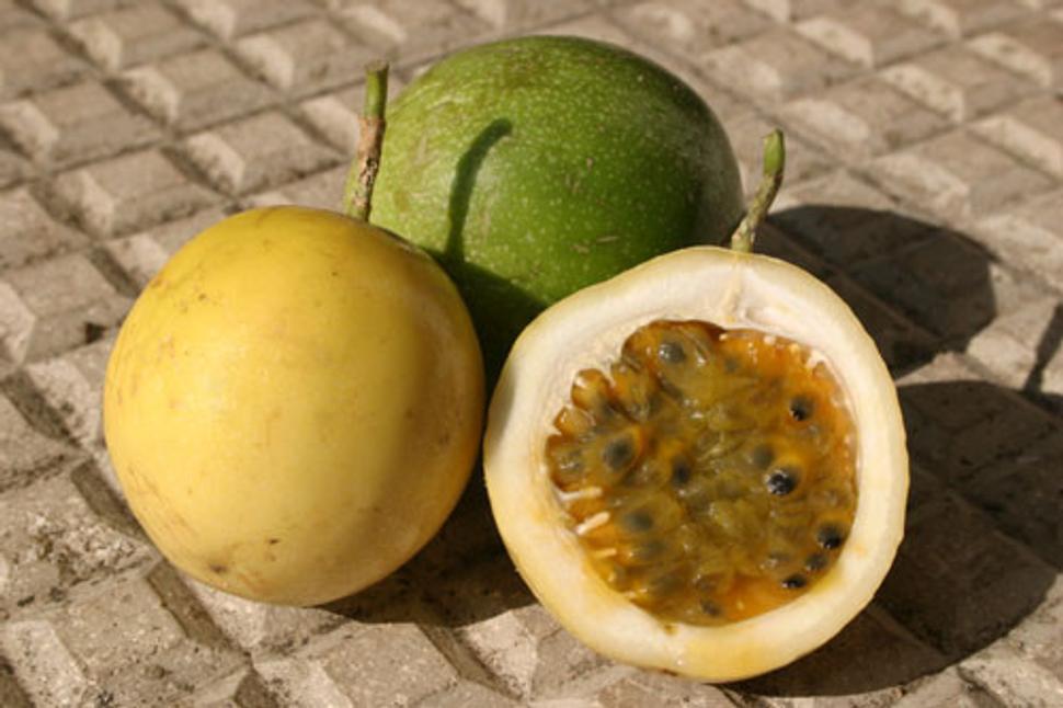 passion fruit