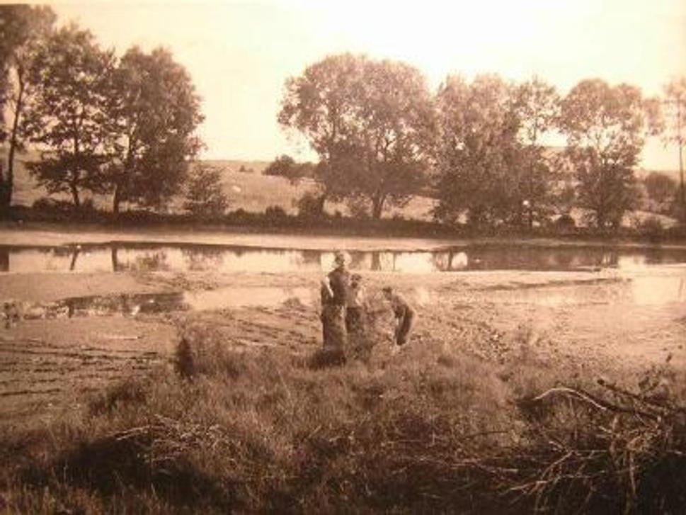 Obrázok blogu