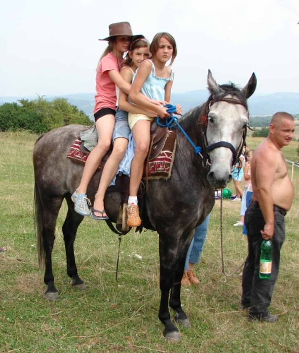 Obrázok blogu