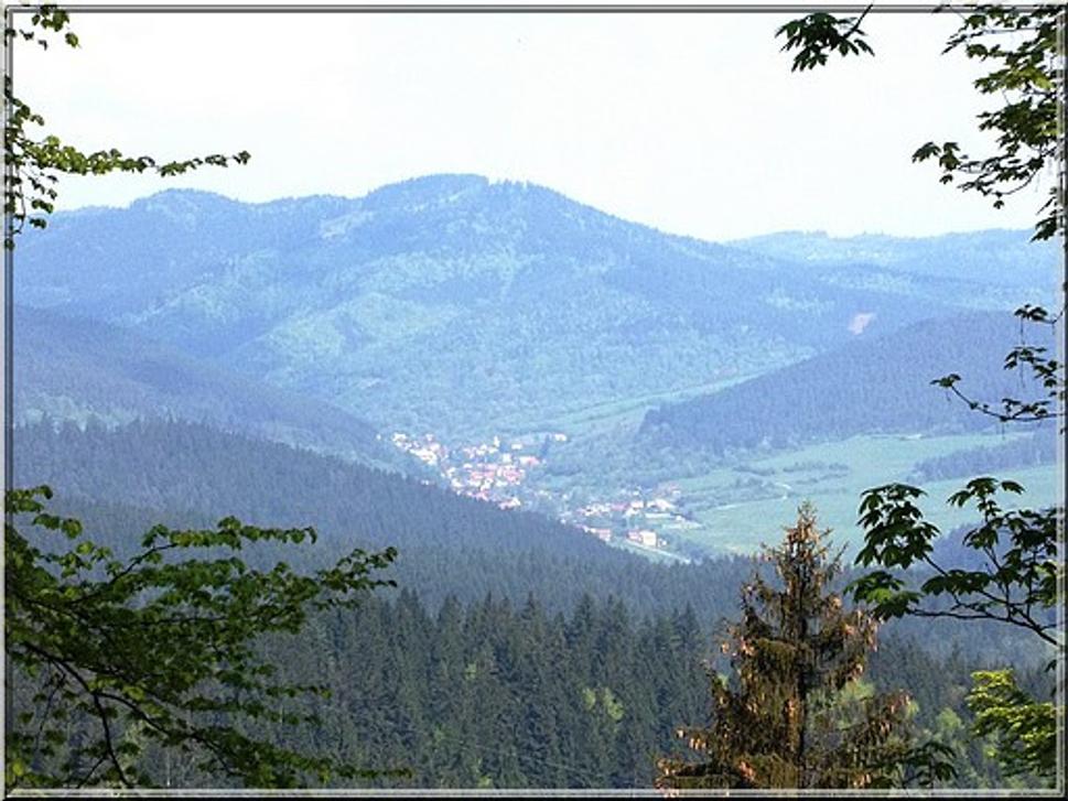 Obrázok blogu