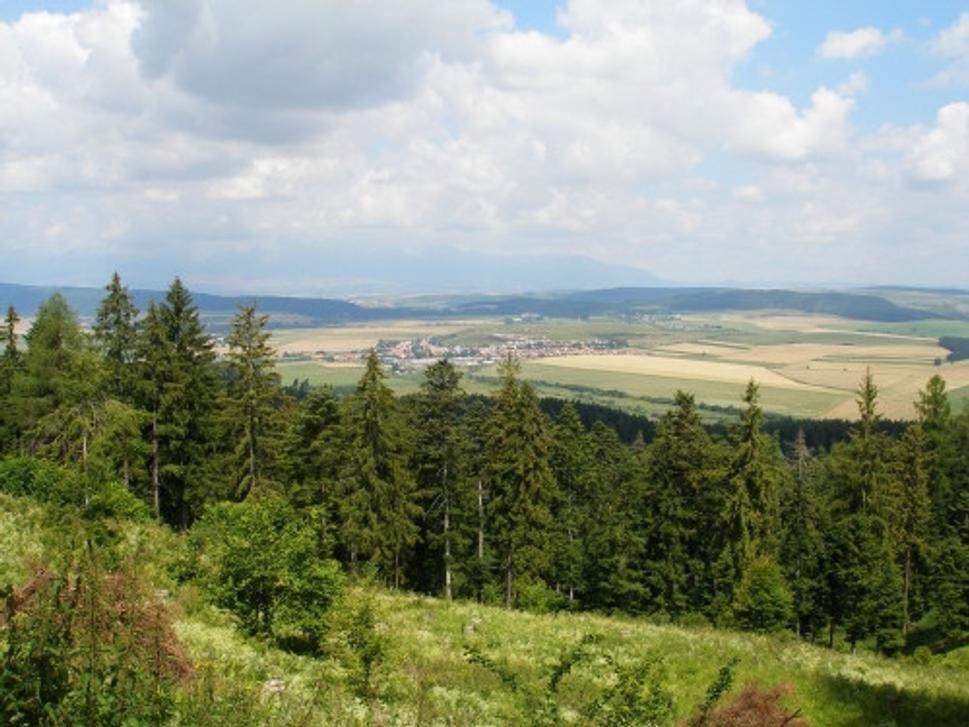 Obrázok blogu